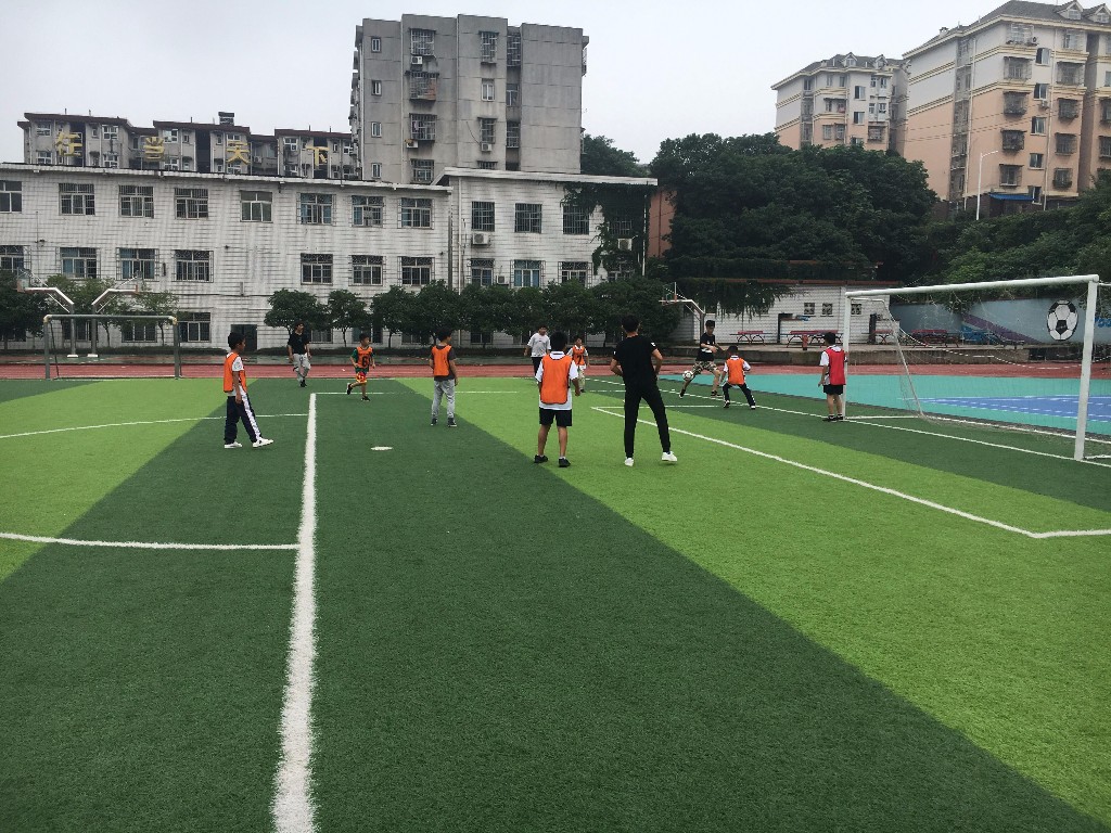 QQ图片20190618071032