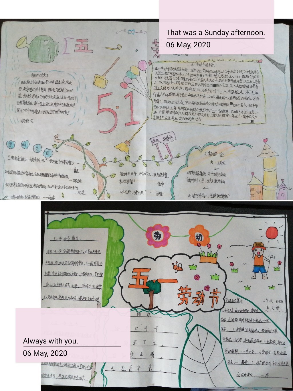 de81f6cdb5ffb6c526711352023e6fd