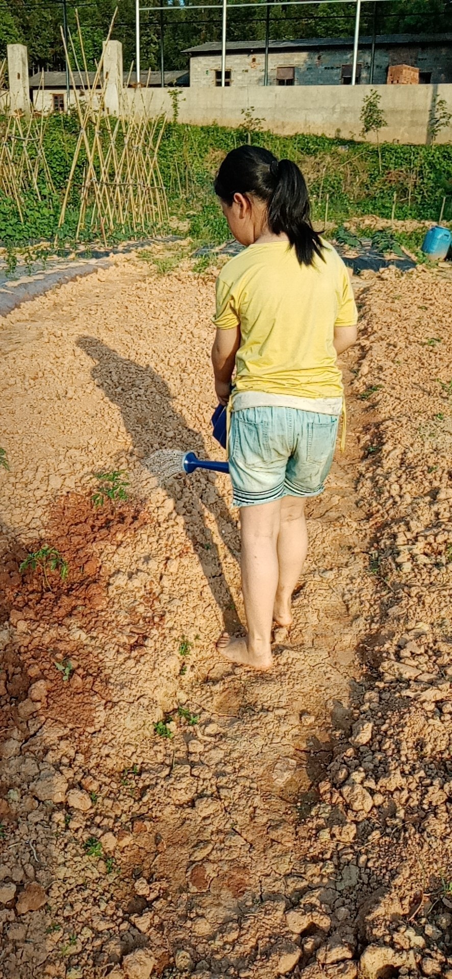 5aae7d449e2eb15aa28998aa6ee0264