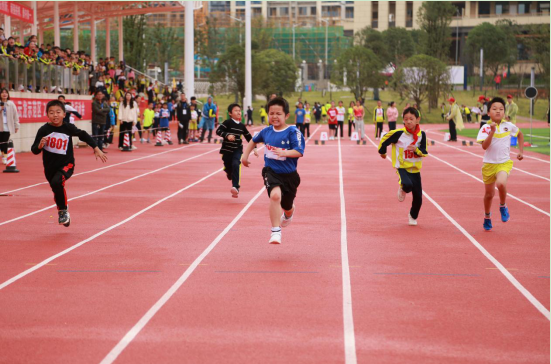 1017运动会开幕11