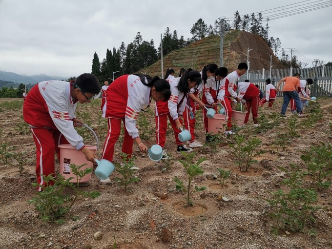 明德小学劳动教育3_爱奇艺