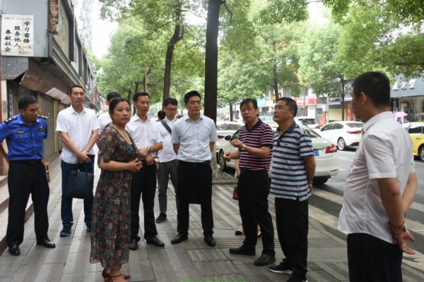 检查团实地查看校园周边环境.jpg